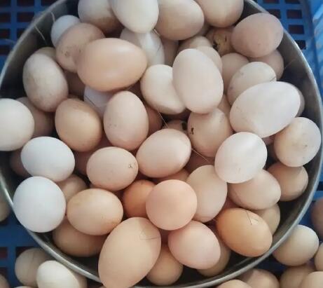 顺丰富硒鸡蛋 代发30枚礼盒装新鲜营养草鸡蛋